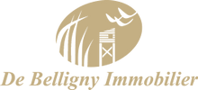 AGENCE DE BELLIGNY IMMOBILIER